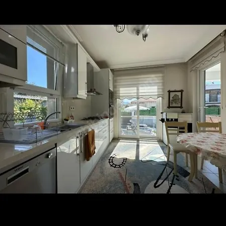 Deniz * كويجيز