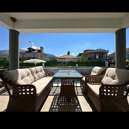 Deniz فيلة كويجيز