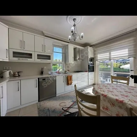 Deniz * كويجيز